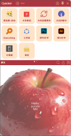 预览图