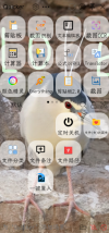 预览图
