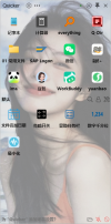 预览图